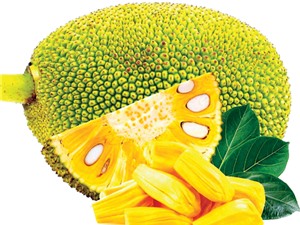 Cốm lợi khuẩn từ mít Thái